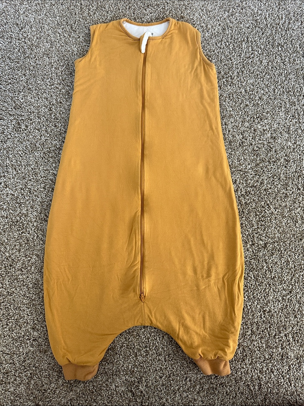 Kyte Baby Sleep Bag Walker